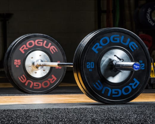 rogueバンパープレート20kg② Amazon | ROGUE（ローグ）トレーニングバンパープレート 20kg